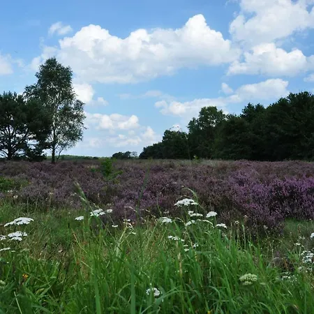 De Kleine Kriemelkuil *