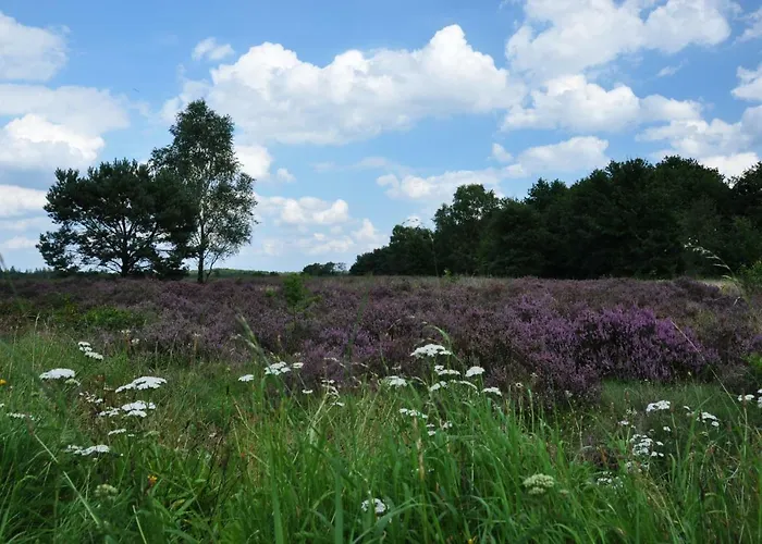 De Kleine Kriemelkuil *