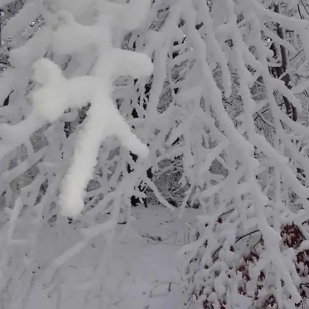 De Kleine Kriemelkuil