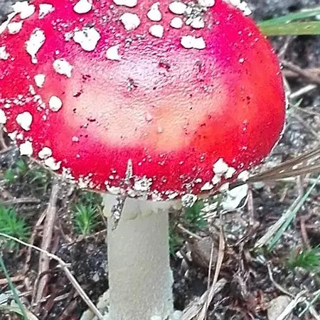 De Kleine Kriemelkuil