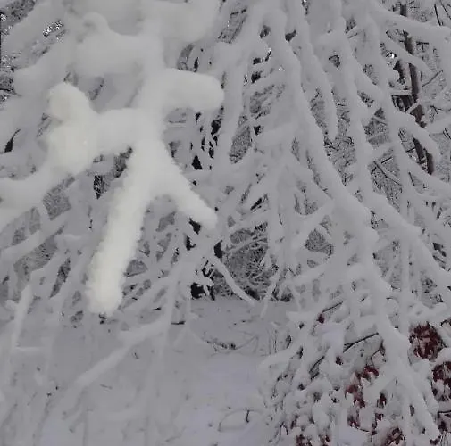 De Kleine Kriemelkuil